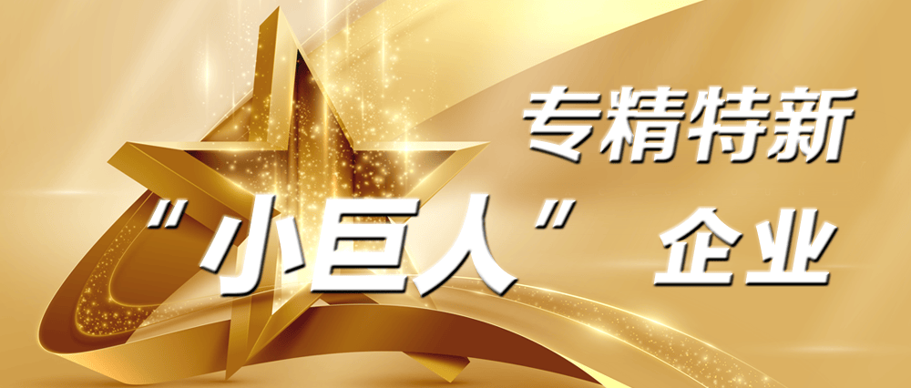 华体育会app下载官网：专精特新“小伟人”企业办事经管革命：财务部深化审计陈诉检查(图1)